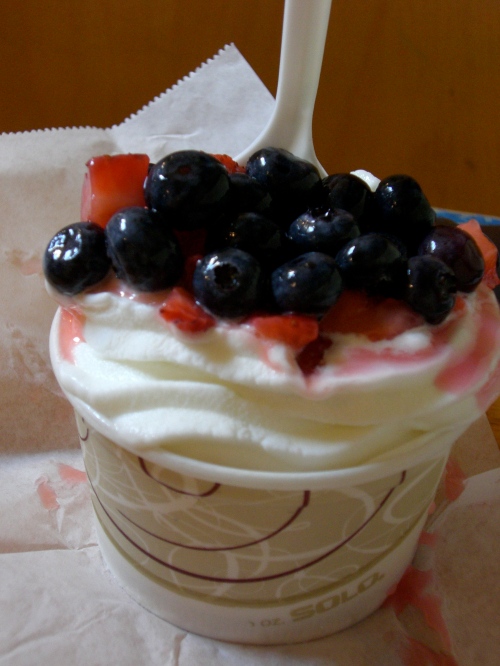 plain froyo with blueberries and strawberries